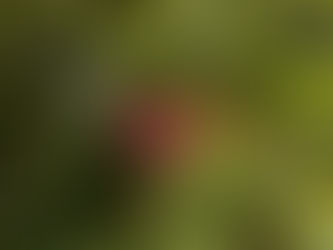 Monday, July 28, 2025