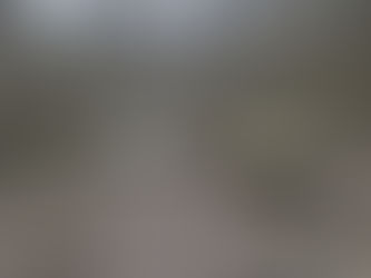 Wednesday, March 12, 2025