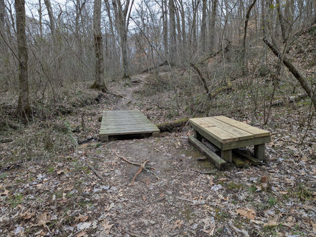 Wednesday, March 12, 2025