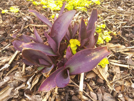 Thursday, April 6, 2023