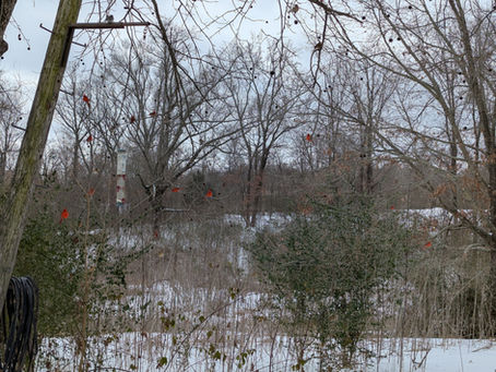 Thursday, January 29, 2026