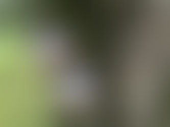 Monday, June 16, 2025