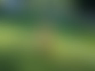 Friday, June 19, 2026