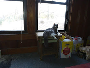 Friday, March 11, 2022