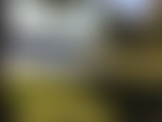 Friday, Nov. 12, 2021