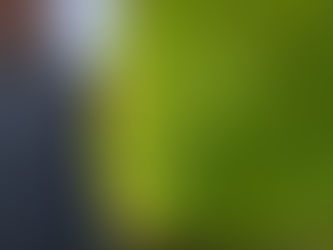 Wednesday, August 20, 2025
