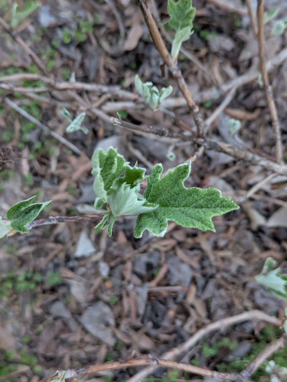 Saturday, April 4, 2026