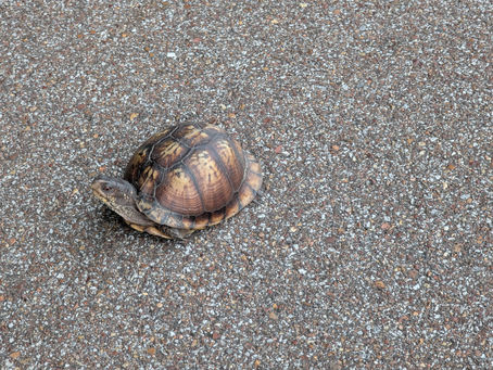 Saturday, July 12, 2025