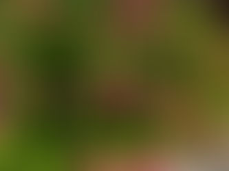 Friday, July 25, 2025