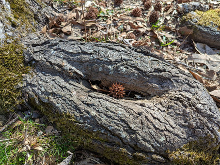 Sunday, March 16, 2025