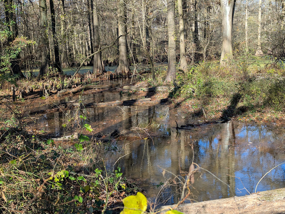 Tuesday, December 2, 2025