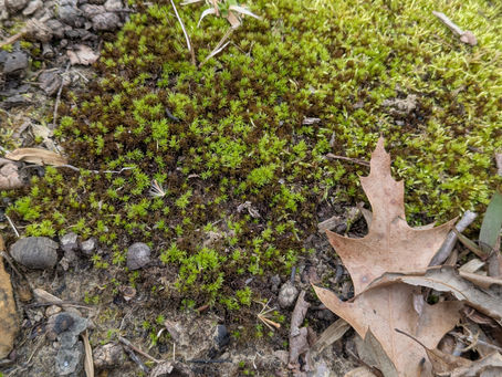 Tuesday, March 10, 2026