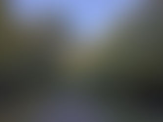 Sunday, November 2, 2025