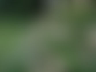 Friday, June 6, 2025