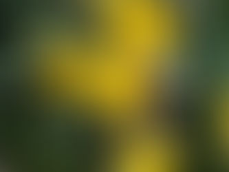 Thursday, February 26, 2026