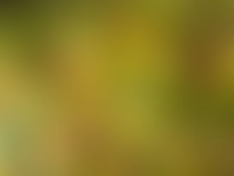 Friday, Nov. 26, 2021