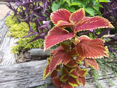 Friday, Aug. 2, 2024