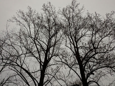 Wednesday, December 24, 2025