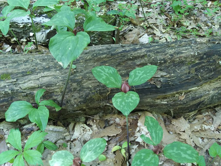 Friday, April 28, 2023