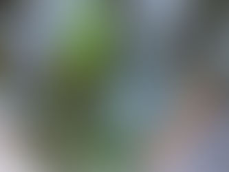 Saturday, July 26, 2025