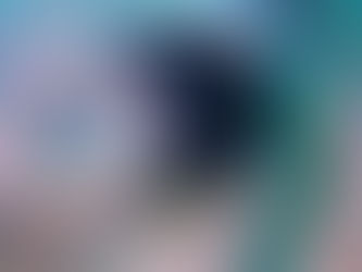 ミジンベニハゼ孵卵中!