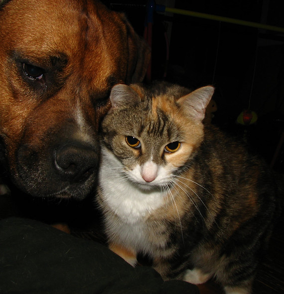Genny and Mr. T