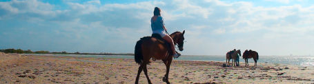 Imagenes-Receptivos-RCH-Cabalgata-455x12