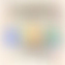 TVMSA Annual Congress 2026