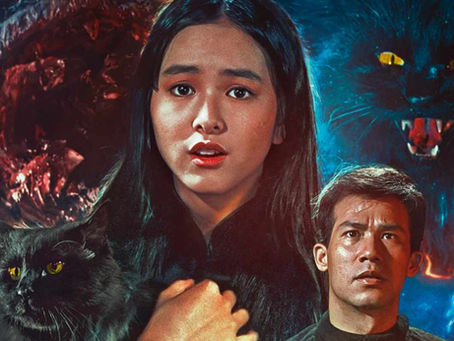 The Cat (1991) Blu-ray Review