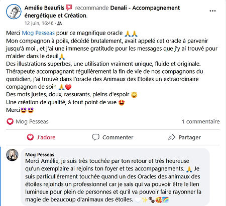 Sans titre 1.jpg