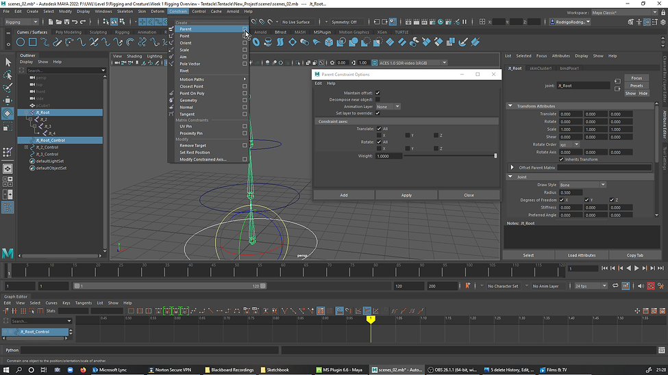 11. Linking the Rotation of the Nurbs with the rotation of the joints.Clicking in the Nurb
