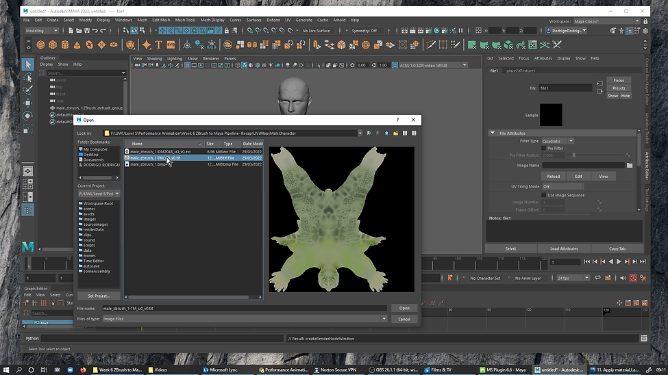 11b. in the folder go to import the Tif file.png