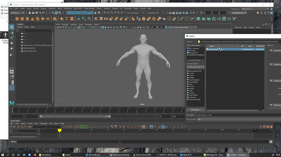 9. Importe Obj Male Character to Maya .png