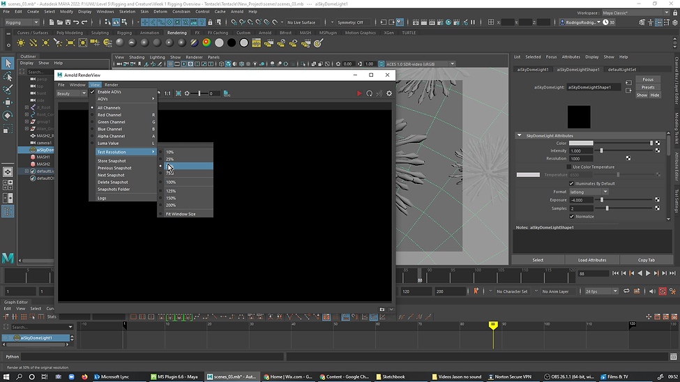 26. Arnold opened the Render View, in the tab viw teste the Resolution was seted to 50%..p