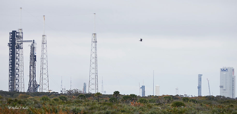 Crew-12 : un million de chevaux, sans sabot