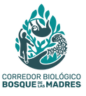 logo color CBBM menos pixeles (1).png