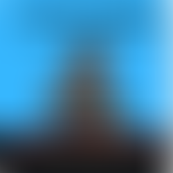 Martin Luther King: Life and History