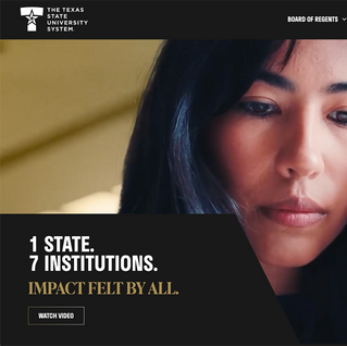 Website Management and Design