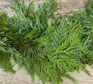 cedar-garland.jpg