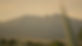 ExportsFilm_1.8.3.png