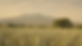 ExportsFilm_1.12.1.png