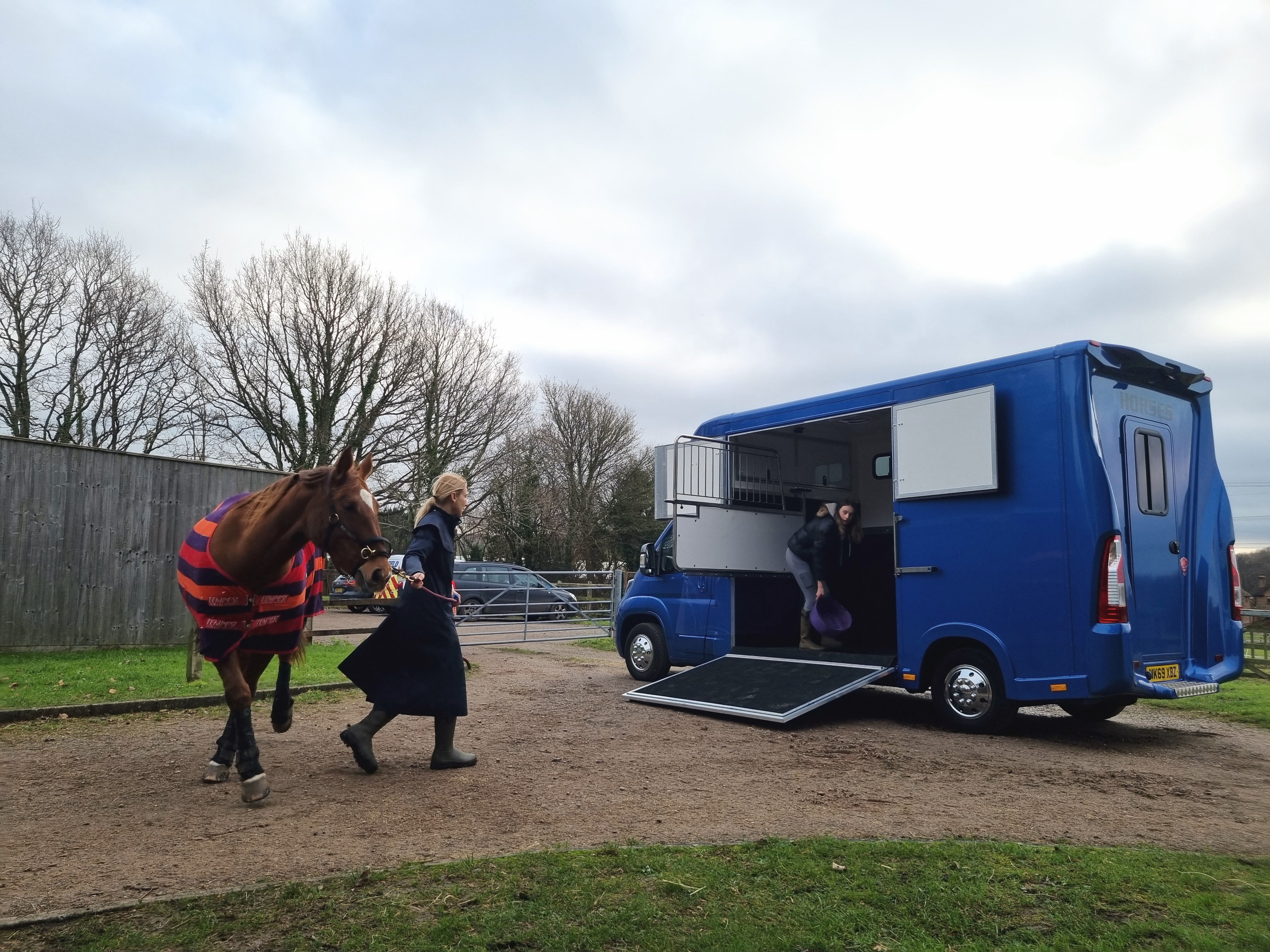 loading horse to 3.5 tonne Blue Holty Hooves Horsebox