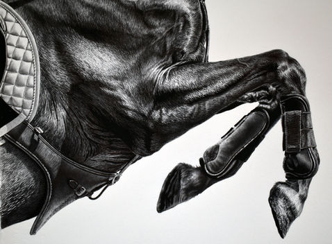 Dark Horse performance DETAIL 2