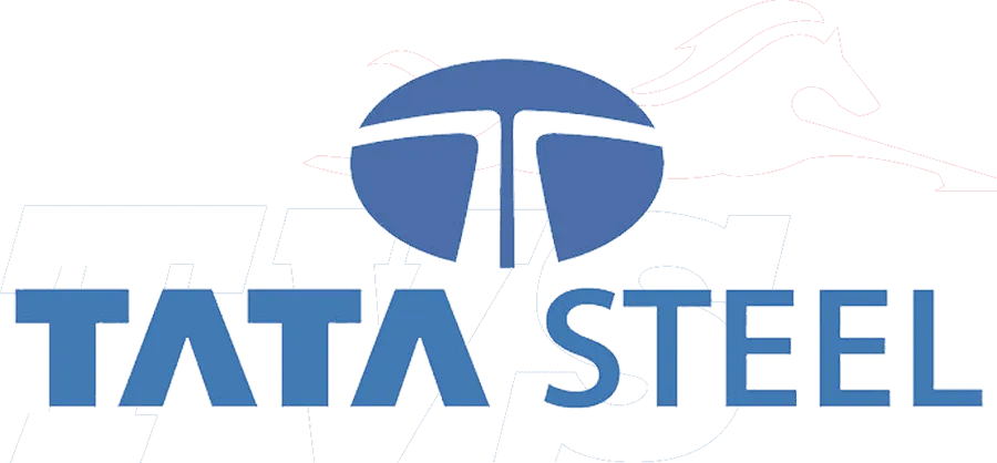 Tata Steel.webp