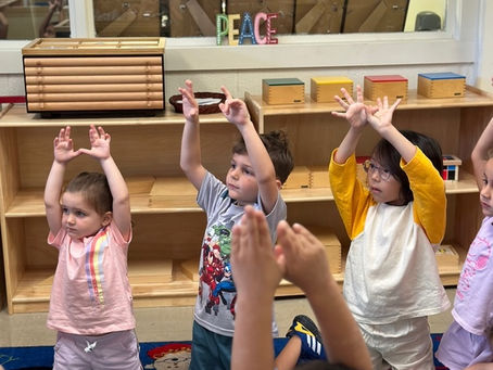 Boosting Growth with Montessori School Programs