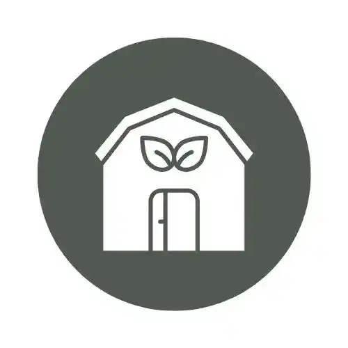 2.webp