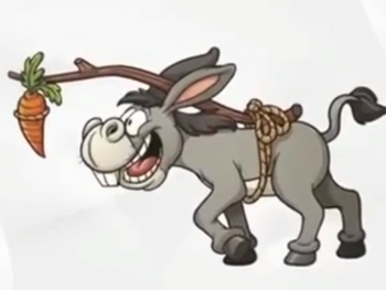 De la cuisson des carottes, et autres plantes légumineuses ou fourragères