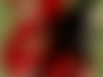 Marine Le Pen et les Grands Corps, le pacte faustien