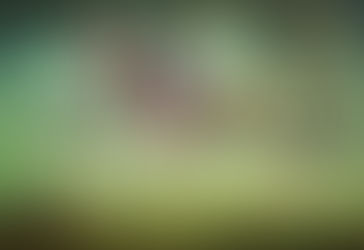 Une nouvelle Croque-sel : Hypergagne