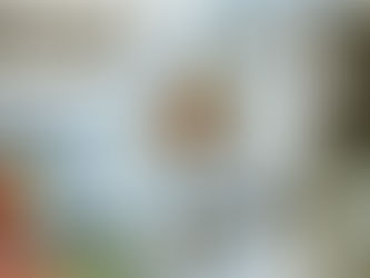 L’audiovisuel public était indigent, il est devenu excrémentiel